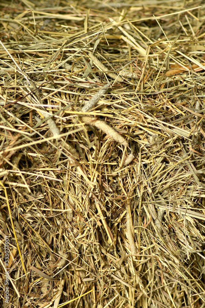 background of straw