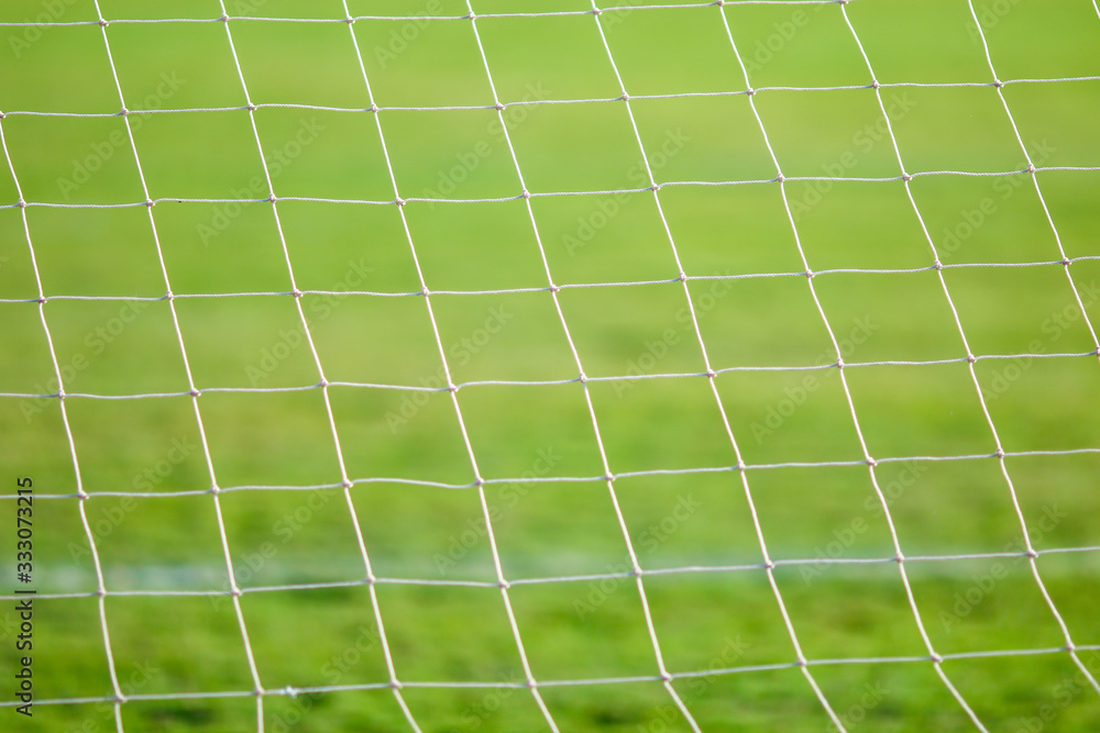 Football or soccer net with blured background