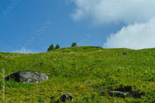 green hillsides  mountains with trees and grass on sunny summer day