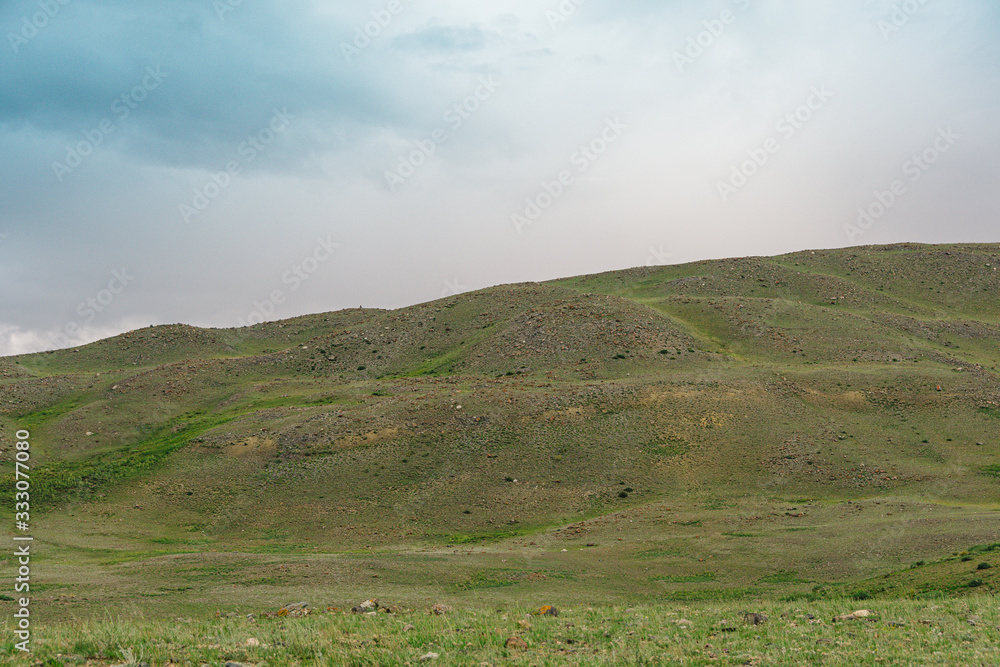 yellow hills and ravines in steppe, arid landscape under clouds, mountains with traces of soil erosion, pasture for goats and sheep