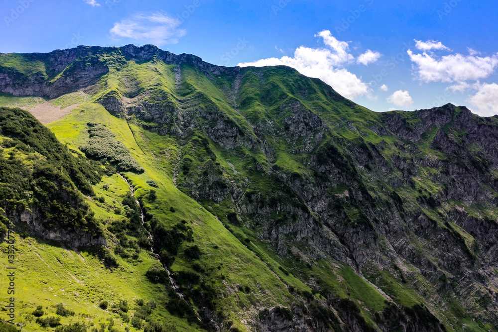 Naklejka premium Natural landscape of green Nebelhorn; green trees and grass on the mountain