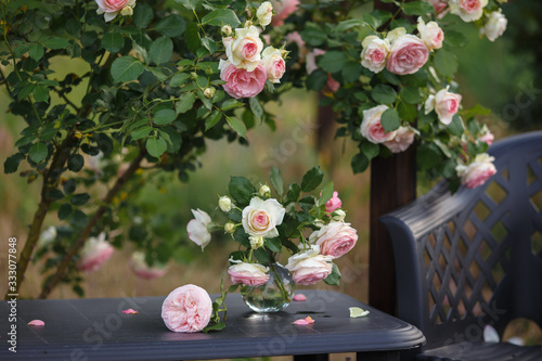 A bouquet of roses in a glass vase stands on a table under a rose bush Pierre de Ronsard