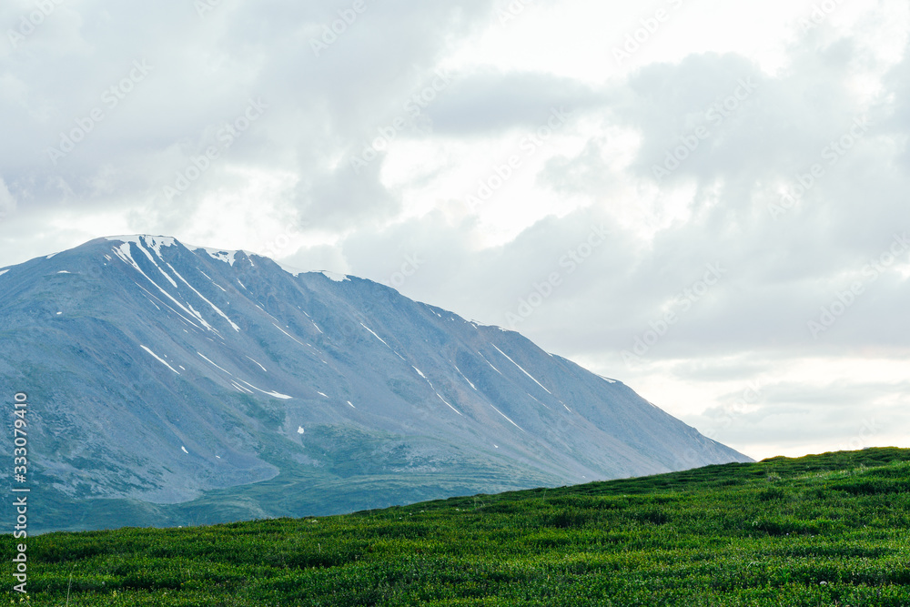 Fototapeta premium rocky ridge on horizon in mountain valley, green slopes of gentle hills, beauty of nature for relaxation and meditation