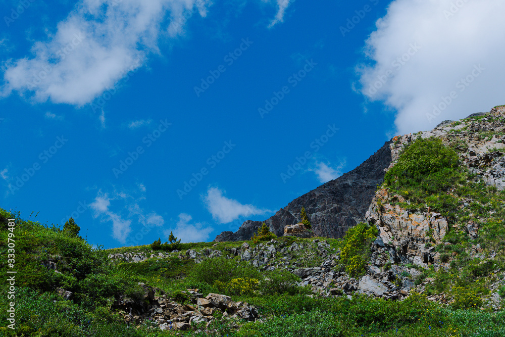 blue sky with white clouds in mountain valley with pine forest on horizon