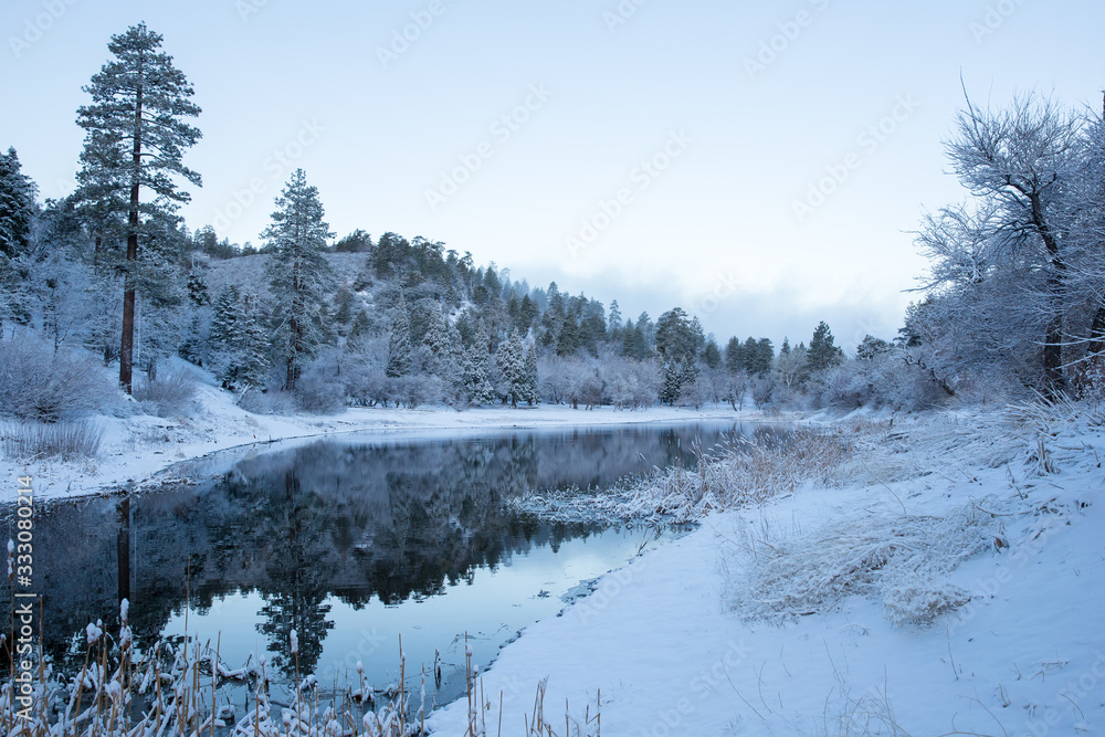 winter landscape with trees and pond