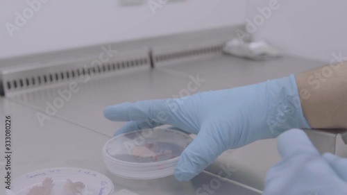 Wallpaper Mural BIO GENETIC PANT LAB AND WORK SPACE  Torontodigital.ca