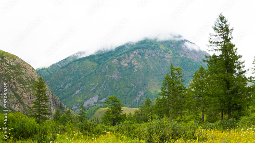 mountain range with rocky ledges and coniferous forest, tourist route for hiking