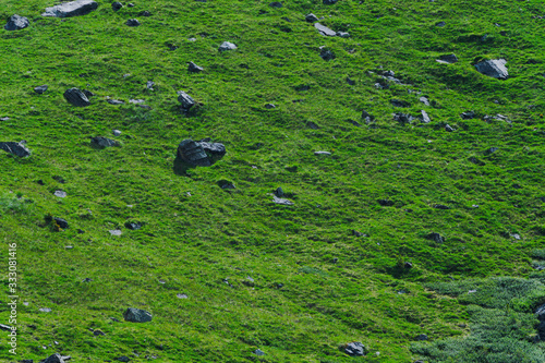 slope of hill with green grass and few boulders, mountain pasture for animals