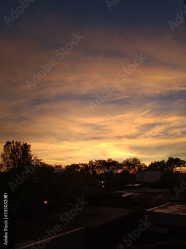 sunset in the park