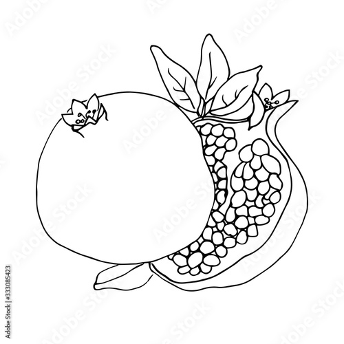 Outline Illustration with the image of a garnet and garnet in a cut.