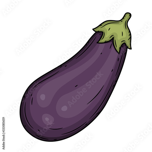 Еggplant. Hand drawn eggplant isolated on white background.