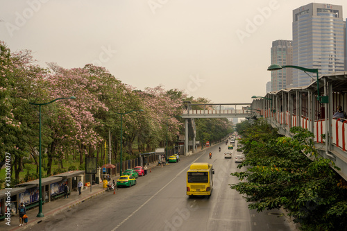 Bangkok, Thailand-February 7, 2020: Traffic on Phaholyothin road under walkway to BTS train station beside Pink Trumpet tree flower blooming at Chatuchak park, cloudy sky with PM 2.5 air pollution
