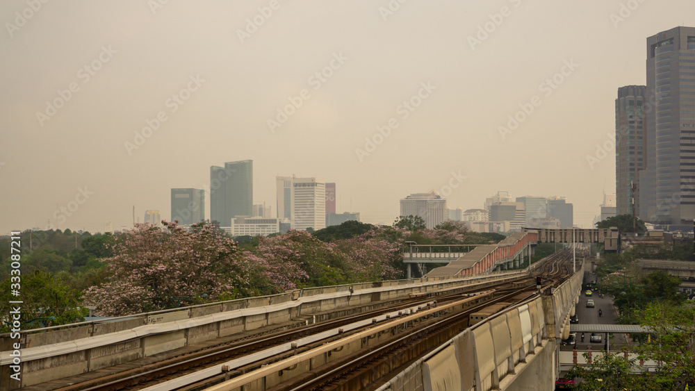 Bangkok, Thailand-February 7, 2020: Cloudy sky with PM 2.5 air pollution covering Bangkok city area, view from Bts train station to sky train railway and pink Trumpet tree flower know plant blooming Bangkok, Thailand-February 7, 2020: Cloudy sky with PM 2.5 air pollution covering Bangkok city area, view from Bts train station to sky train railway and pink Trumpet tree flower know plant blooming
