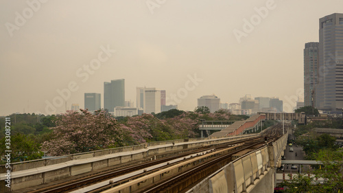 Bangkok, Thailand-February 7, 2020: Cloudy sky with PM 2.5 air pollution covering Bangkok city area, view from Bts train station to sky train railway and pink Trumpet tree flower know plant blooming 