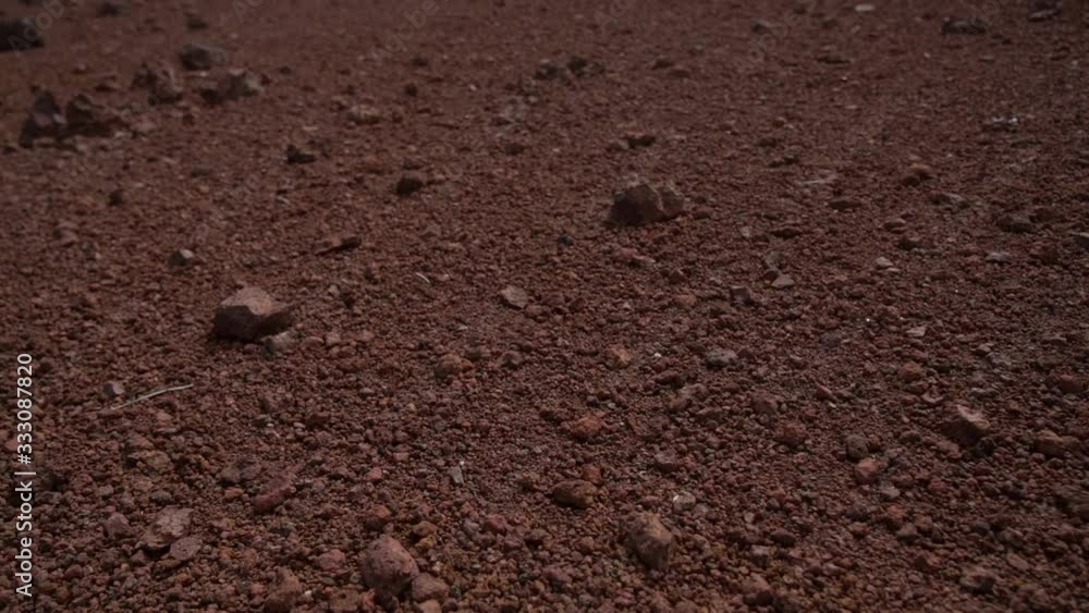 Man Walking In Barren Landscape Man Walking In Barren Landscape