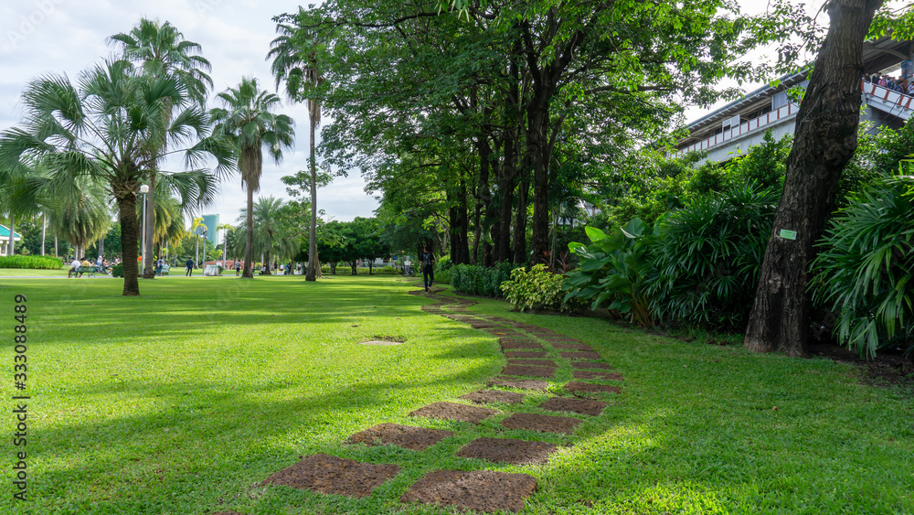 Obraz premium Bangkok, Thailand-August 18, 2019: Green lawn garden in Chatuchak park beside Bts train station on Phaholyothin road, landmark and Famous public park in Bangkok for people come to joy and relaxing