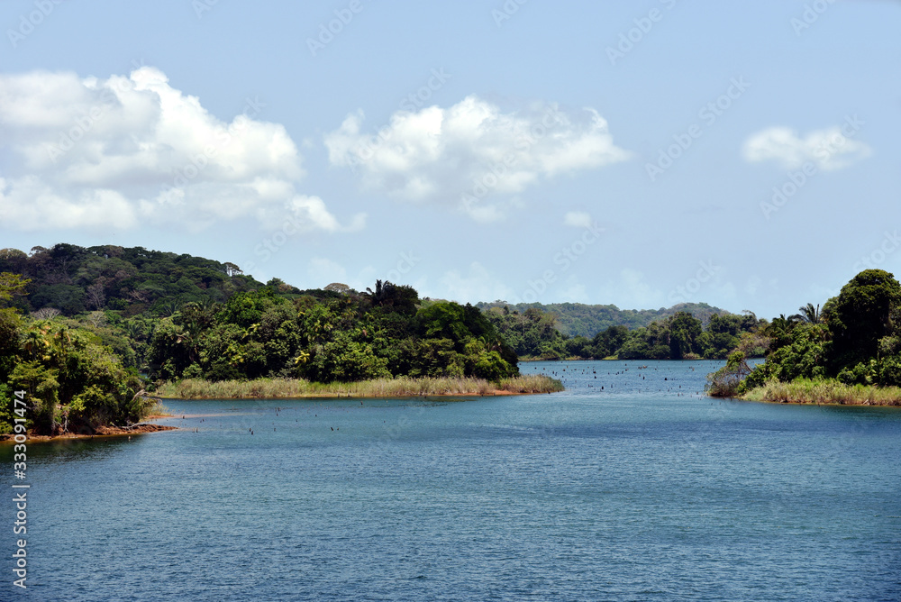 Green landscape of Panama Canal, view from the transiting cargo ship.