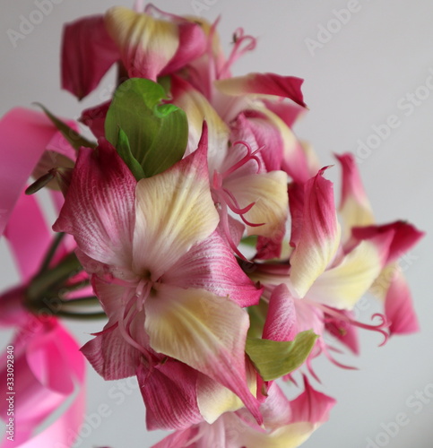 pink flowers