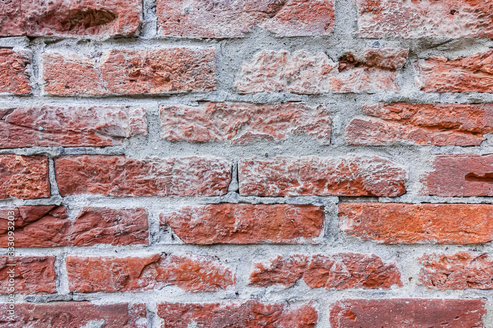 Fototapeta premium red brick wall texture grunge background