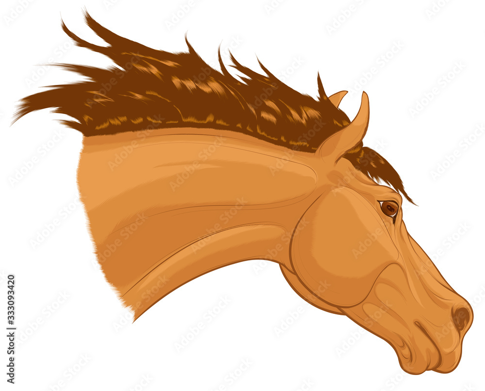 Portrait of a running sorrel horse with long fluttering mane. Stallion