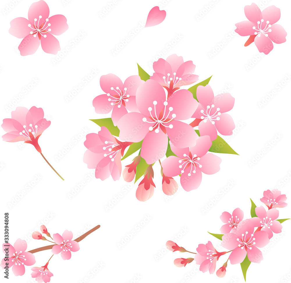 Obraz premium 桜
