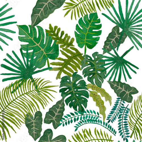 Watercolor painting illustration of tropical leaves trees  green palm and monstera leaf exotic seamless pattern on white background  isolated clipping pate  for textile fabric printed or wallpaper