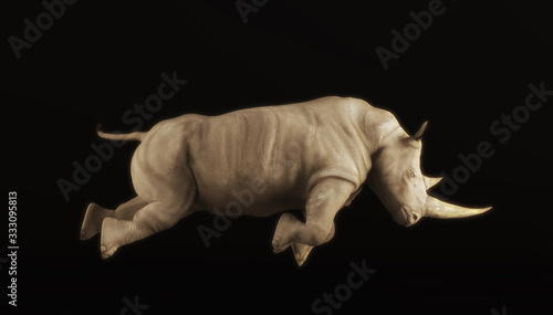 Rhino attacks isolated