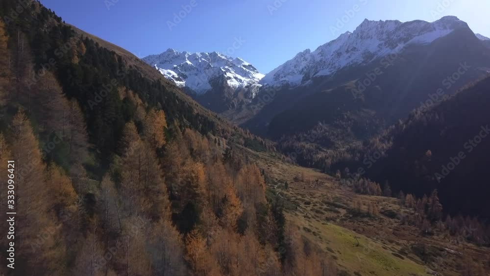 AERIAL: Deciduous Trees in Mountains in Italy AERIAL: Deciduous Trees in Mountains in Italy