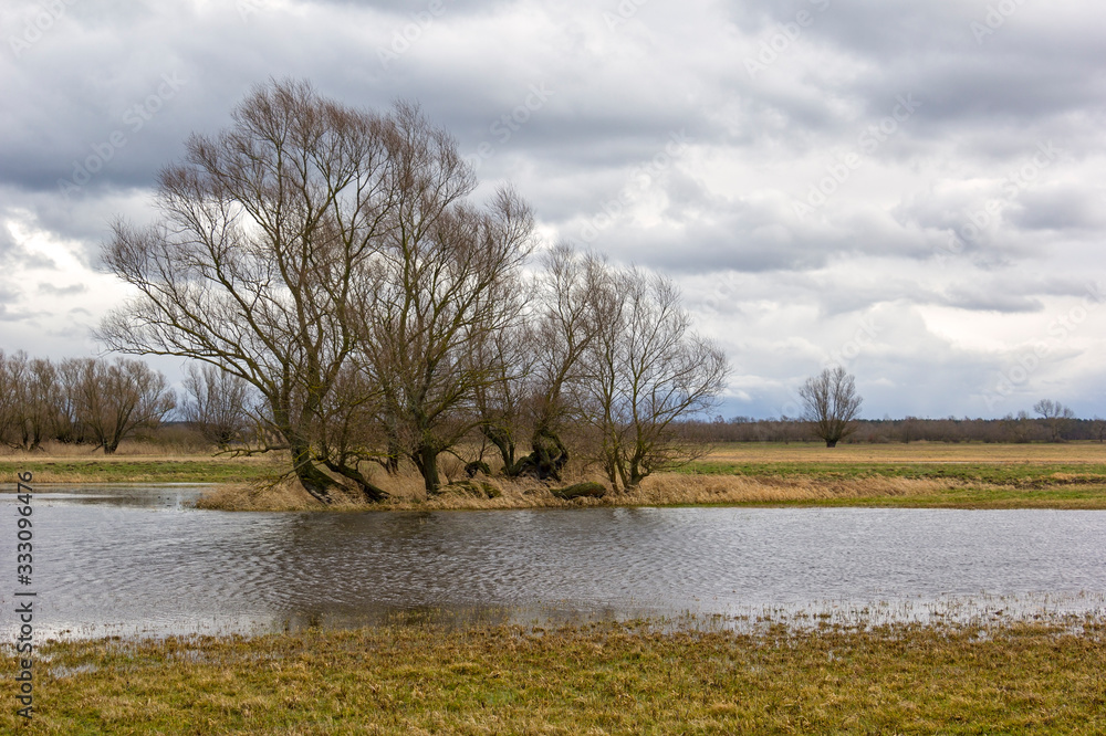 View over the winterly landscape of the Havel river in Brandenburg. Typical are the willow trees