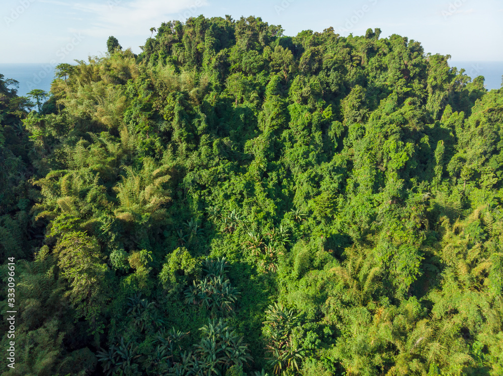 Top view of forest at Nyaung oo Phee island, Myanmar