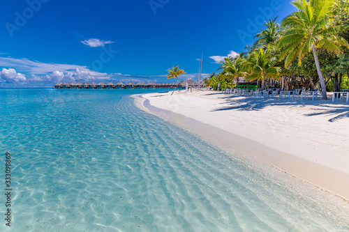 Fototapeta Naklejka Na Ścianę i Meble -  Maldives paradise beach. Perfect tropical island. Beautiful palm trees and tropical beach. Moody blue sky and blue lagoon. Luxury travel summer holiday background concept.