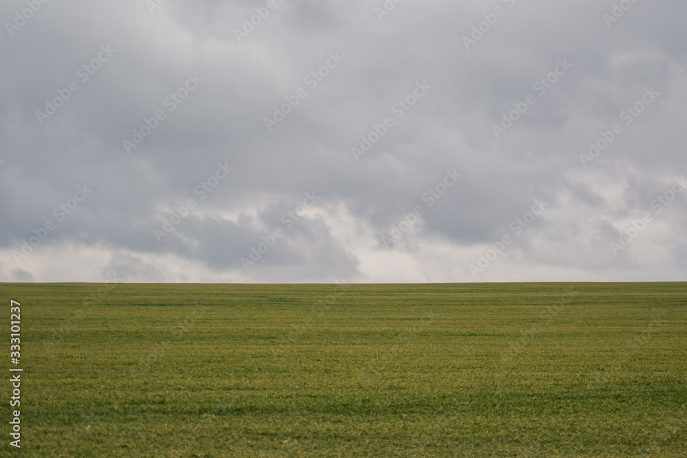 Green grass meadow, agricultural field, cloudy weather, natural background
