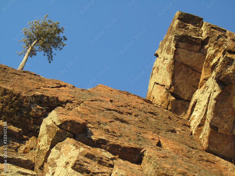 Mountain landscape. Peak. Rock on a background of blue sky. A tree on top of a cliff. Low angle view. Close-up. Krasnoyarsk. National Nature Reserve 