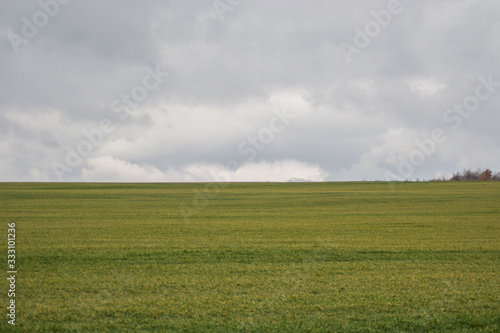 Green grass meadow  agricultural field  cloudy weather  natural background
