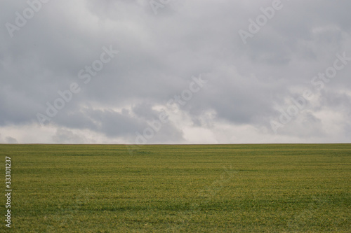 Green grass meadow, agricultural field, cloudy weather, natural background