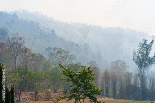 Wildfire at mountain in Chiangmai Thailand.