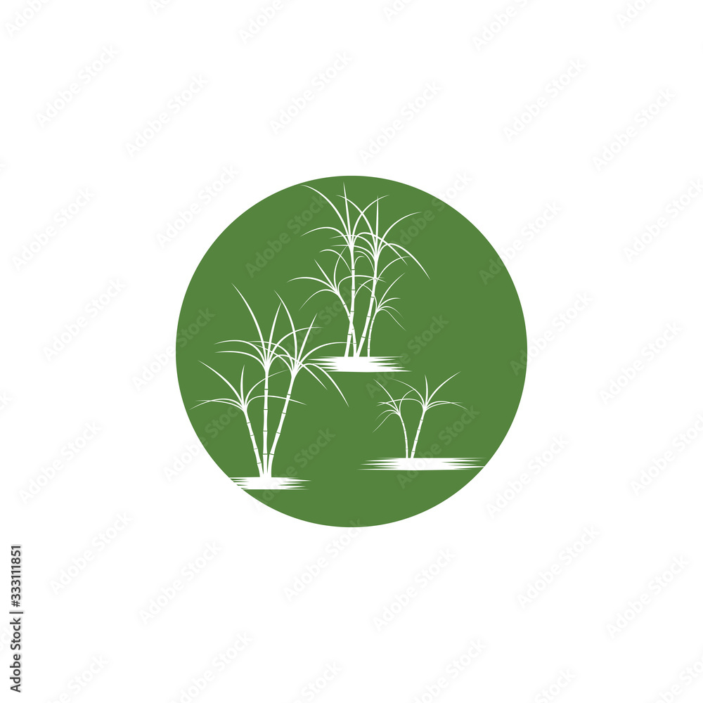 Fototapeta premium Sugar cane Logo Template vector symbol