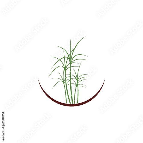 Sugar cane Logo Template vector symbol