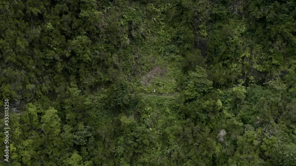 AERIAL: Person hiking in Nature AERIAL: Person hiking in Nature
