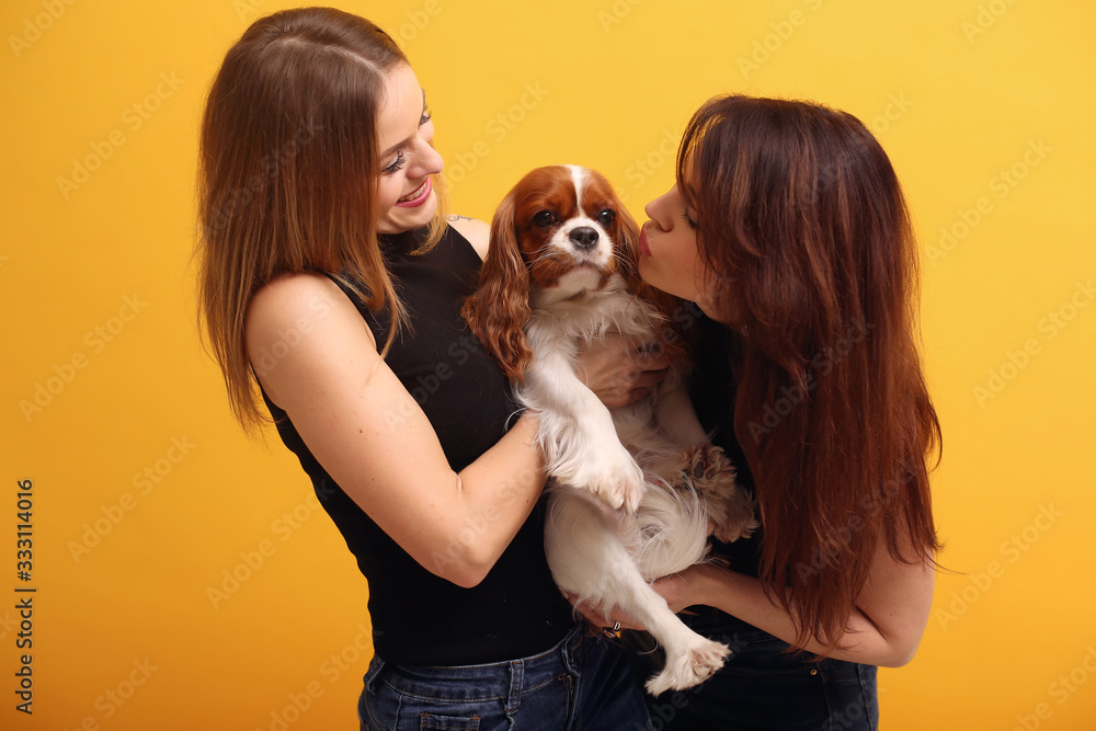 Beautiful girls in a studio. Stylish women on a yellow background. Ladies with cute dog. Beautiful girls in a studio. Stylish women on a yellow background. Ladies with cute dog.