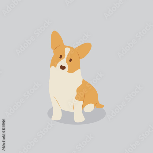 Corgi dog vector cartoon illustration. Cute friendly welsh corgi puppy, isolated on grey. Pets, animals, canine theme design element in contemporary simple flat style