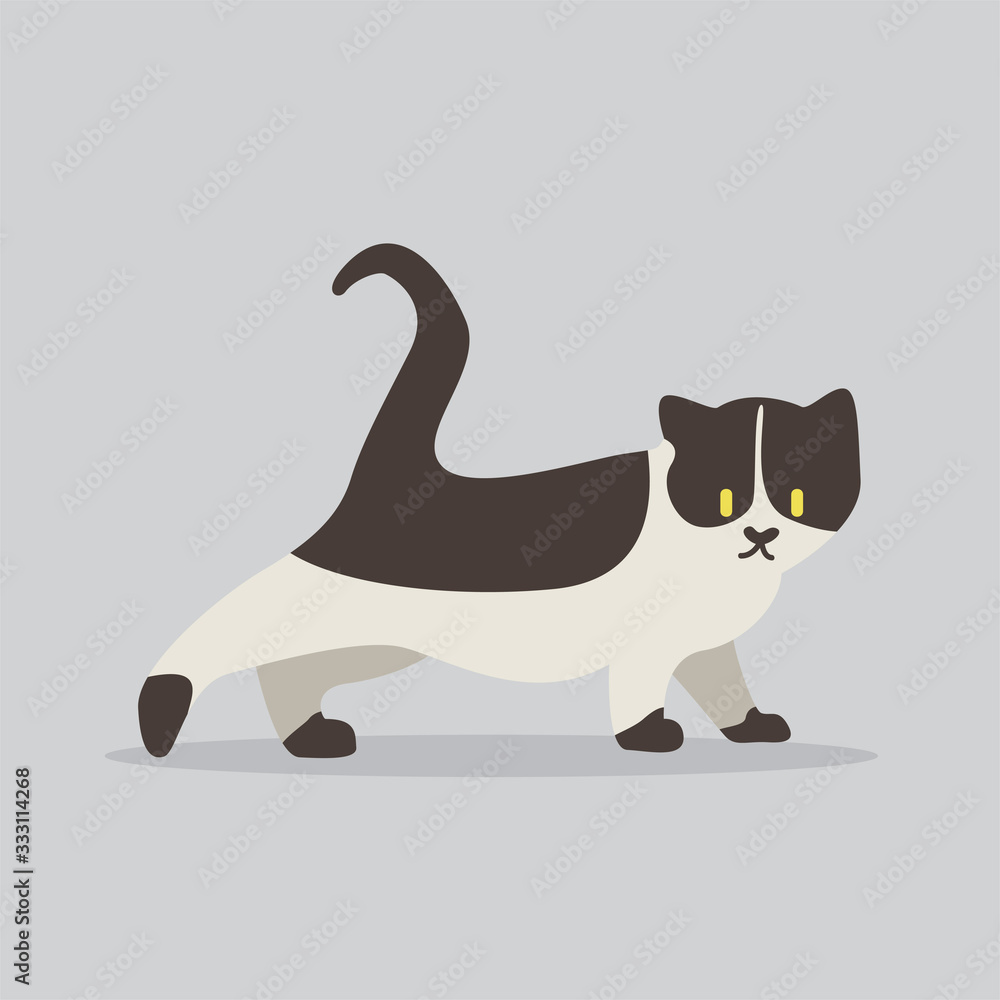 Obraz premium cat vector cartoon illustration. Cute friendly welsh cat, isolated on grey. Pets, animals, cat theme design element in contemporary simple flat style
