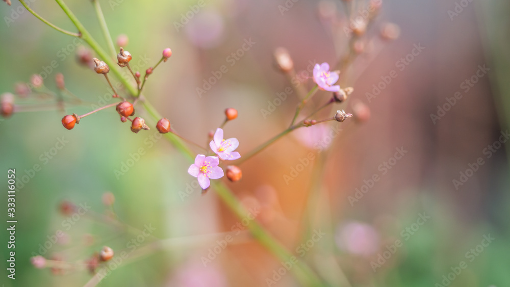 Detailed up-close photo of a tropical colourful coloured flower creates an interesting abstract effect. Detailed up-close photo of a tropical colourful coloured flower creates an interesting abstract effect.