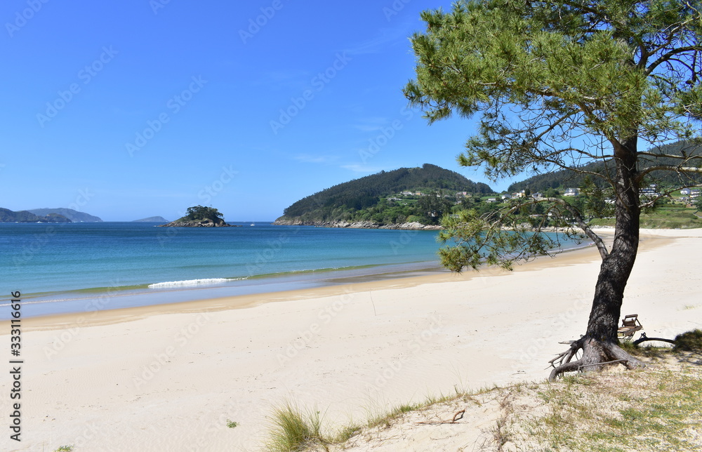 Beach in a bay with pine trees, sand dunes, turquoise water and blue sky. Viveiro, Lugo, Galicia, Spain.