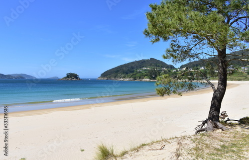 Beach in a bay with pine trees, sand dunes, turquoise water and blue sky. Viveiro, Lugo, Galicia, Spain.
