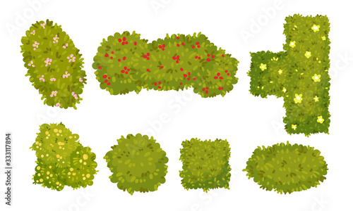 Shaped Green Bushes Planted in Parks and Gardens Above View Vector Set