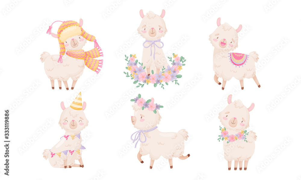 Obraz Cartoon Funny Alpaca or Lama Character Wearing Warm Hat and Running with Floral Wreath on Its Head Vector Set