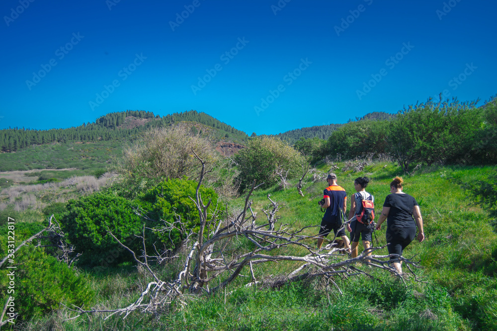 Group of hikers walking through a beautiful landscape in Santiago del Teide, Tenerife. This municipality is ideal for hiking.
