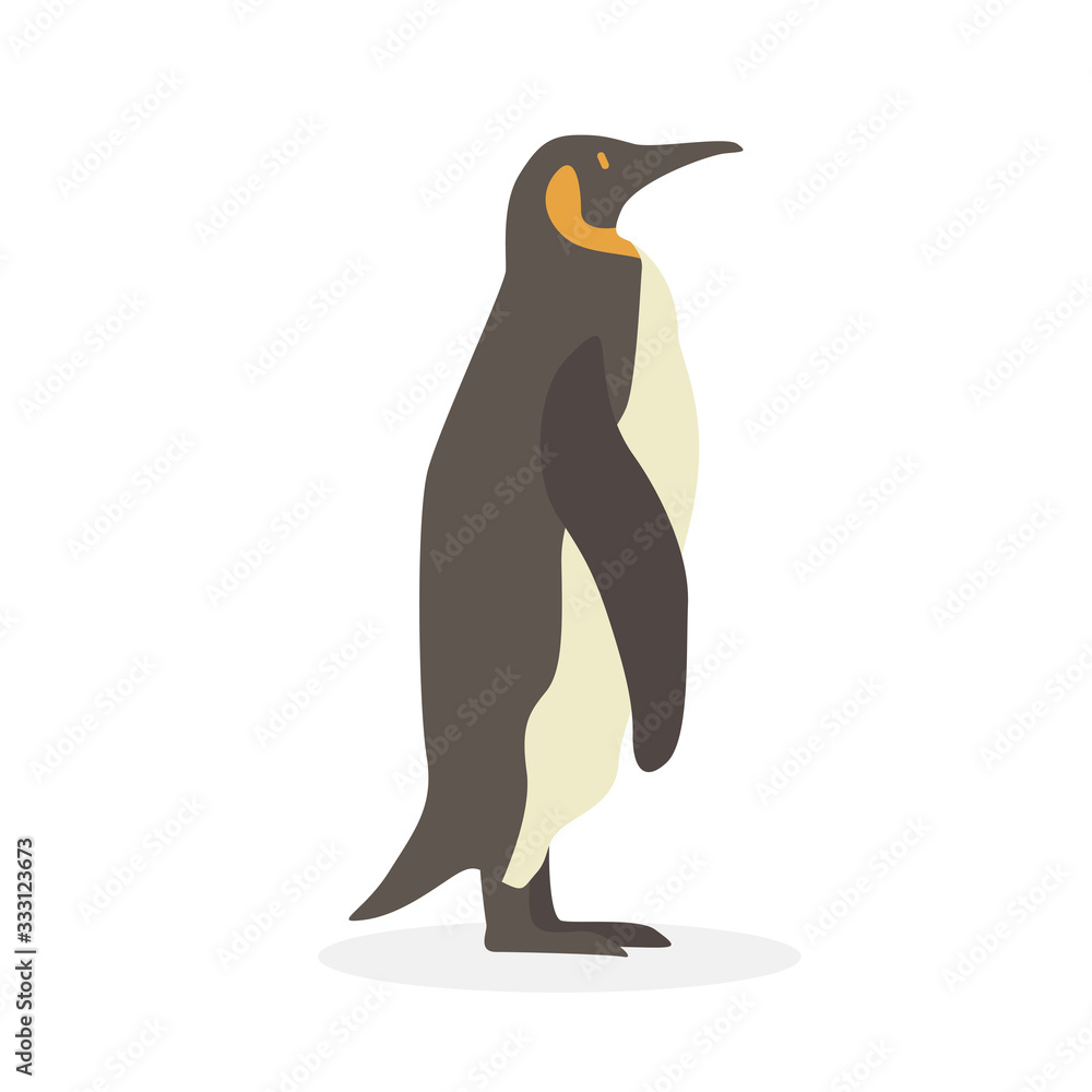 Obraz premium Cartoon penguin. Cute Cartoon penguin, Vector illustration on a white background. Drawing for children.