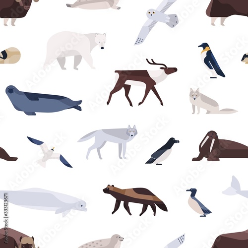 Different cartoon cute polar animals seamless pattern. Various Arctic and Antarctic birds, marine mammals vector flat illustration. Colorful north fauna inhabitant on white background